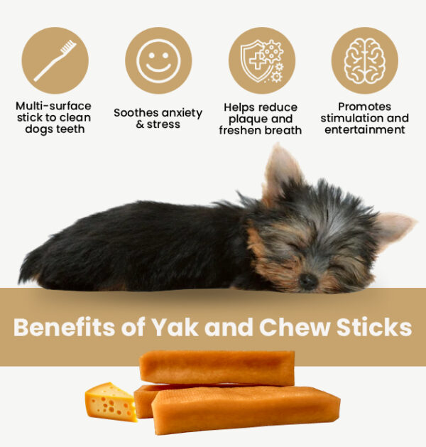 1st benefits Natural Himalayan Dog Chew Medium