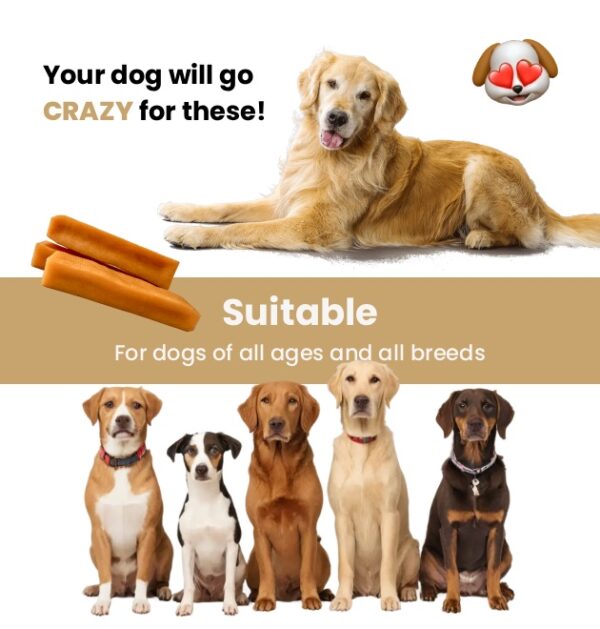 All Size Natural Himalayan Dog Chew Medium