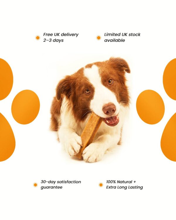 Natural Himalayan Dog Chew Medium