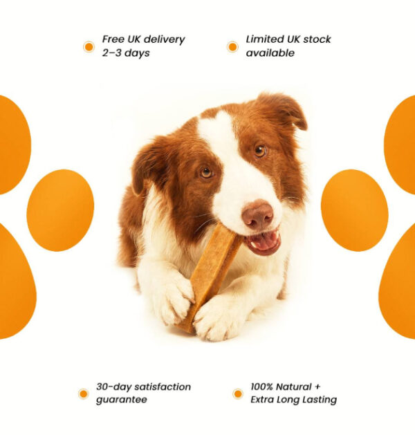 Pack of 3 Benefits Natural Himalayan Dog Chew Medium