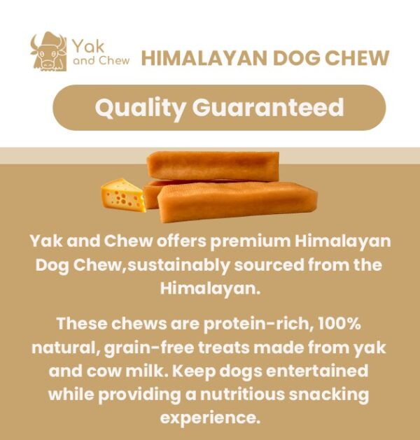 Quality Guaranteed 3 Natural Himalayan Dog Chew Medium