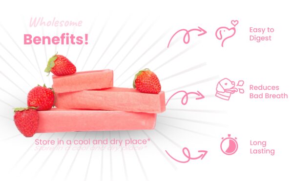 Himalayan Dog Chew Pack of 3 | Medium | 220g | Strawberry