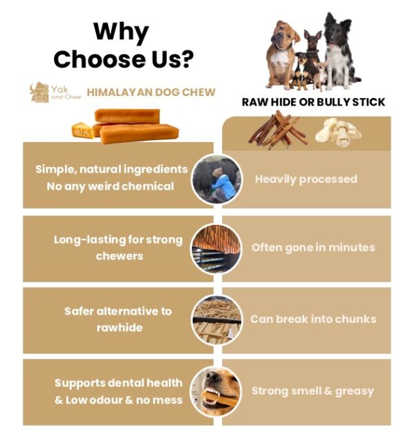 Why choose us Natural Himalayan Dog Chew Medium