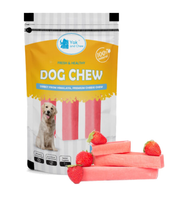 Himalayan Dog Chew Pack of 3 | Medium | 220g | Strawberry