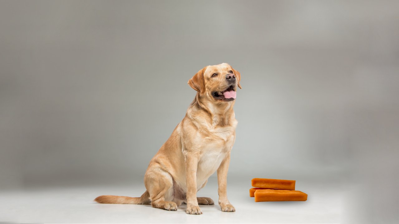 Choosing the Right Yak Chew Size