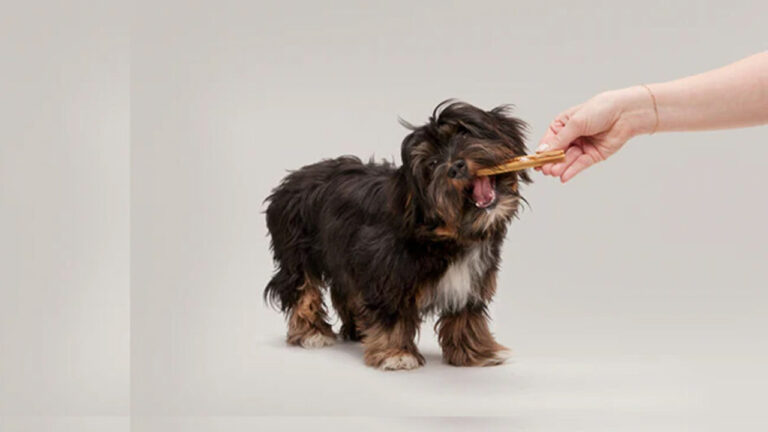 Tips for Storing and Using Yak Chews