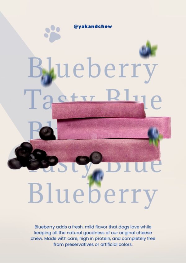 Himalayan Dog Chew Pack of 3 | Medium | 220g | Blueberry