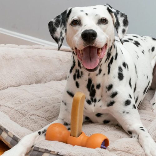 Tips for Storing and Using Yak Chews